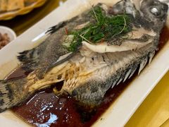 石斑鱼-新群海鲜酒楼