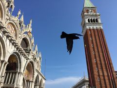 -圣马尔谷圣殿宗主教座堂