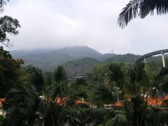 -梧桐山风景名胜区