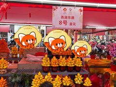 -越秀西湖花市(广州城市广场花卉店)