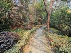 -山湖温泉