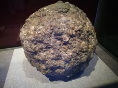 -烟台自然博物馆