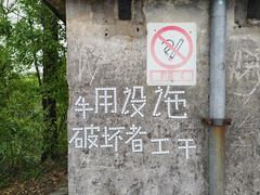 -滴水岩森林公园