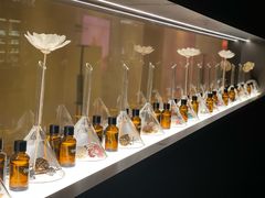 -安屿an·spa(卓悦中心商场店)