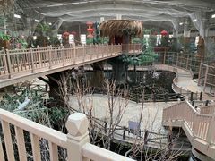 -南宫五洲植物乐园