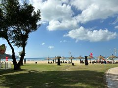 -采悦轩中餐厅·粤菜·海南菜(神州半岛喜来登度假酒店)