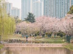 -堤角公园