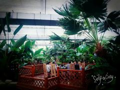 -汤山翠谷生态餐厅