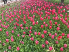 -长春公园(普阳街道)