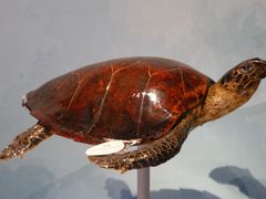 -中国湿地博物馆