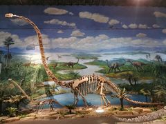 -自贡恐龙博物馆