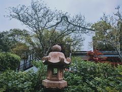 -龙华寺