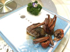 -新加坡泰园村酒楼直营(新华路店)