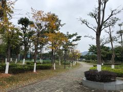-龙江公园
