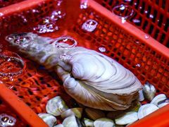 -巽寮印象美食部落餐厅·海鲜·地方特色菜(惠州体验店)