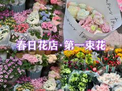 -双季花艺园艺市场(浦东店)