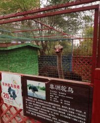 -萌宠亲子动物乐园(槐房万达店)