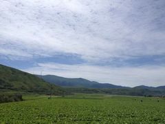 -黄龙山原始森林景区