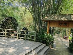 -大屏嶂森林公园