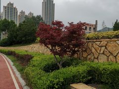 -马栏河运动公园
