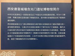 -西安唐皇城墙含光门遗址博物馆