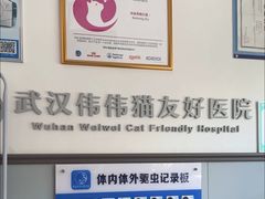-伟伟宠物医院·瑞派猫友好医院·猫科(光谷店)