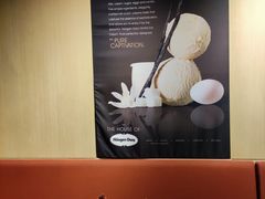 -哈根达斯(上海金山店)