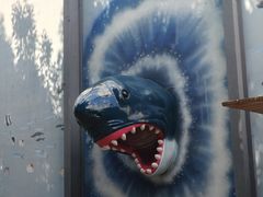 -海合安成都极地海洋公园