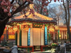 -白家大院·王府宫廷菜(苏州街店)