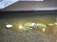 -几荷·恰似故人来(秀水广场店)