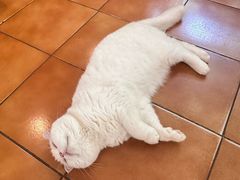 -彳亍咖啡·这里(水湾路店)