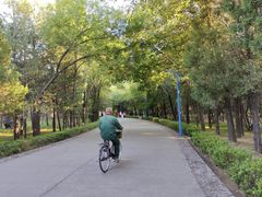 -森林公园(尖草坪区)