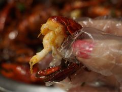 -巴厘龙虾·榜首油焖大虾(音乐学院·沿江酒馆店)