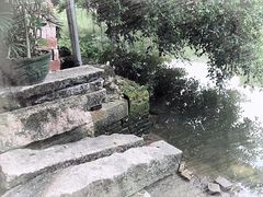 -小洲村