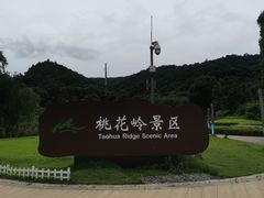 -桃花岭景区