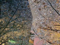 -龙美术馆(西岸馆)