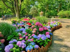 -上海共青森林公园