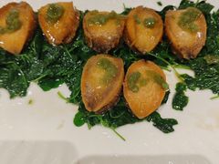 -同济大酒店(绿宝广场店)