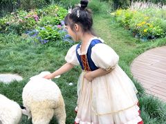 -HERRE·FARM 赫尔露营农场·团建聚会包场