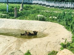 -西安秦岭野生动物园