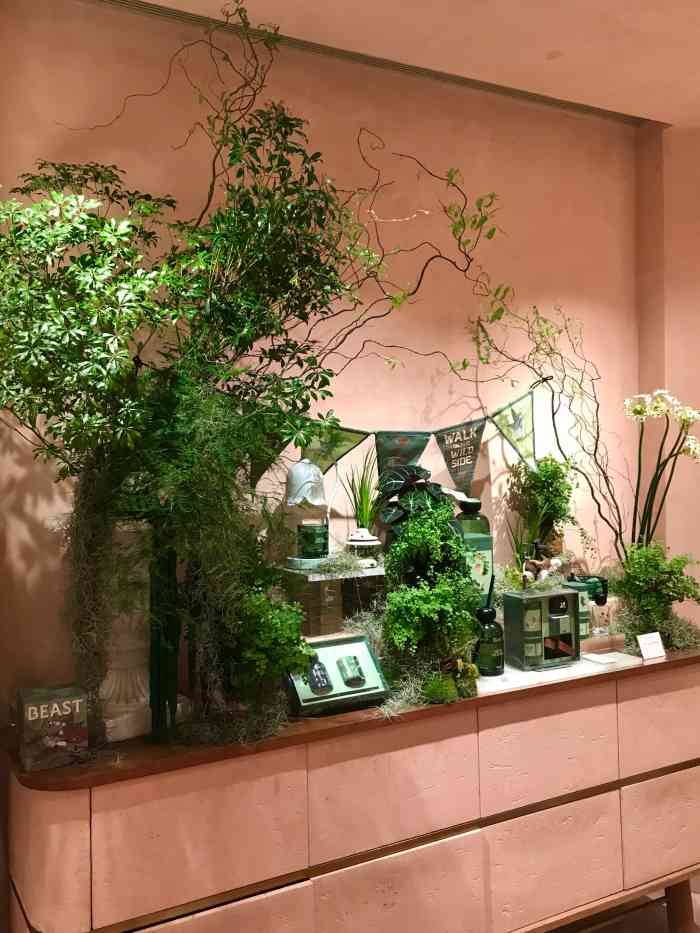 thebeast野兽派花店(成都远洋太古里店)-"上午朋友圈里看到的野兽派小