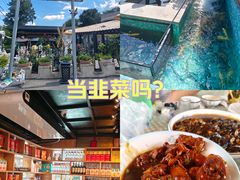 -京北渔家傲