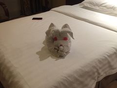 -张家界大成山水国际大酒店