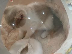 -荔康动物医院(康王北路店)