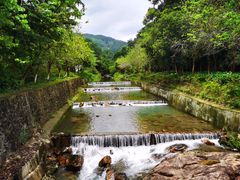 -广州白江湖森林公园