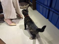 -小月靓虾(湘隆时代广场店)