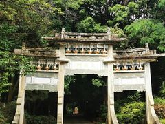 -蝴蝶泉公园
