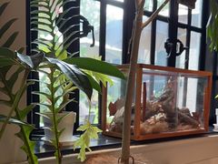 -一尺花园(安和花园店)