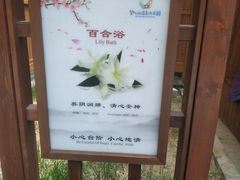 -望儿山温泉水乐园
