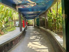 -碧桂园润杨溪谷温泉酒店